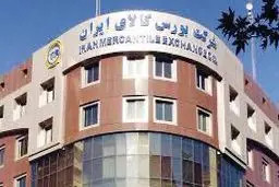 تأکید بهارستان‌نشینان بر تداوم عرضه خودرو در بورس کالا
