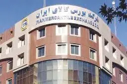 تأکید بهارستان‌نشینان بر تداوم عرضه خودرو در بورس کالا
