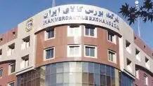 تأکید بهارستان‌نشینان بر تداوم عرضه خودرو در بورس کالا
