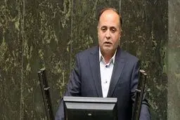 طرح صیانت را اجرا کنند واکنش نشان می‌دهیم