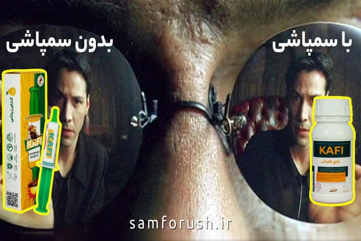 برای از بین بردن سوسک از این سم استفاده کنید (کاملا بی بو و قدرتمند)

