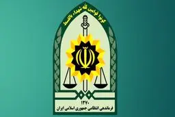 توضیح پلیس یزد درباره زن نیمه برهنه در پارک