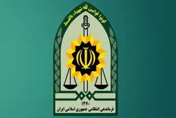 توضیح پلیس یزد درباره زن نیمه برهنه در پارک