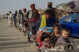 خروج داوطلبانۀ ۴۰ هزار تبعۀ خارجی از البرز در سال جاری