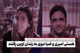 هستی امیری و ضیا نبوی به زندان اوین رفتند

