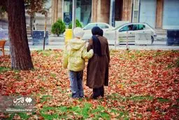 پاییز رنگارنگ ایلام در باران+ عکس
