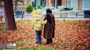 پاییز رنگارنگ ایلام در باران+ عکس
