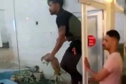 حیوان‌آزاری در باغ‌وحش مشهد/ پرتاب خرگوش زنده داخل قفس حیوانات وحشی برای شکار!
