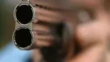 Five martyred as terrorists open fire at people in SW Iran