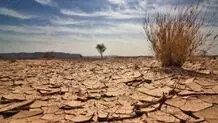 سفر وزیر جهاد کشاورزی به عربستان