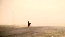وضعیت هوای فردا شنبه ۲۶ مهر ۱۴۰۴ چگونه است؟ این مناطق منتظر بارش باران و کاهش دما باشند