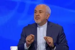 ظریف: نگذارید از آن ۶ ماه تلخ بگویم