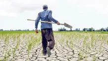 آبیاری قطره‌ای برای 2 میلیارد نفر!

