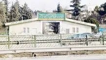 حیات جوامع در گرو حفظ منابع‌ طبیعی