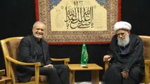 ۳ قاب صمیمی از پزشکیان و داماد آیت‌الله صافی گلپایگانی + عکس