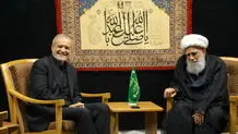۳ قاب صمیمی از پزشکیان و داماد آیت‌الله صافی گلپایگانی + عکس