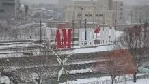 بارش برف ارومیه را سفیدپوش کرد
