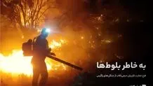به خاطر بلوط‌ها