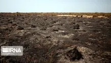 آتش در «میانکاله» خاموش شد/ عکس

