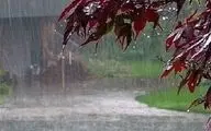 پیش‌بینی هوای کهگیلویه و بویراحمد و یاسوج؛ جمعه ۲۶ بهمن