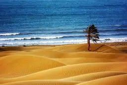 بهترین جاهای دیدنی چابهار کجاست؟