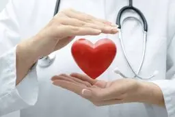 خوراکی‌هایی کوچک با اثری بزرگ بر سلامت قلب
