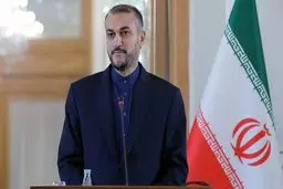 Iran to never cross red line in sanctions-removal efforts: FM