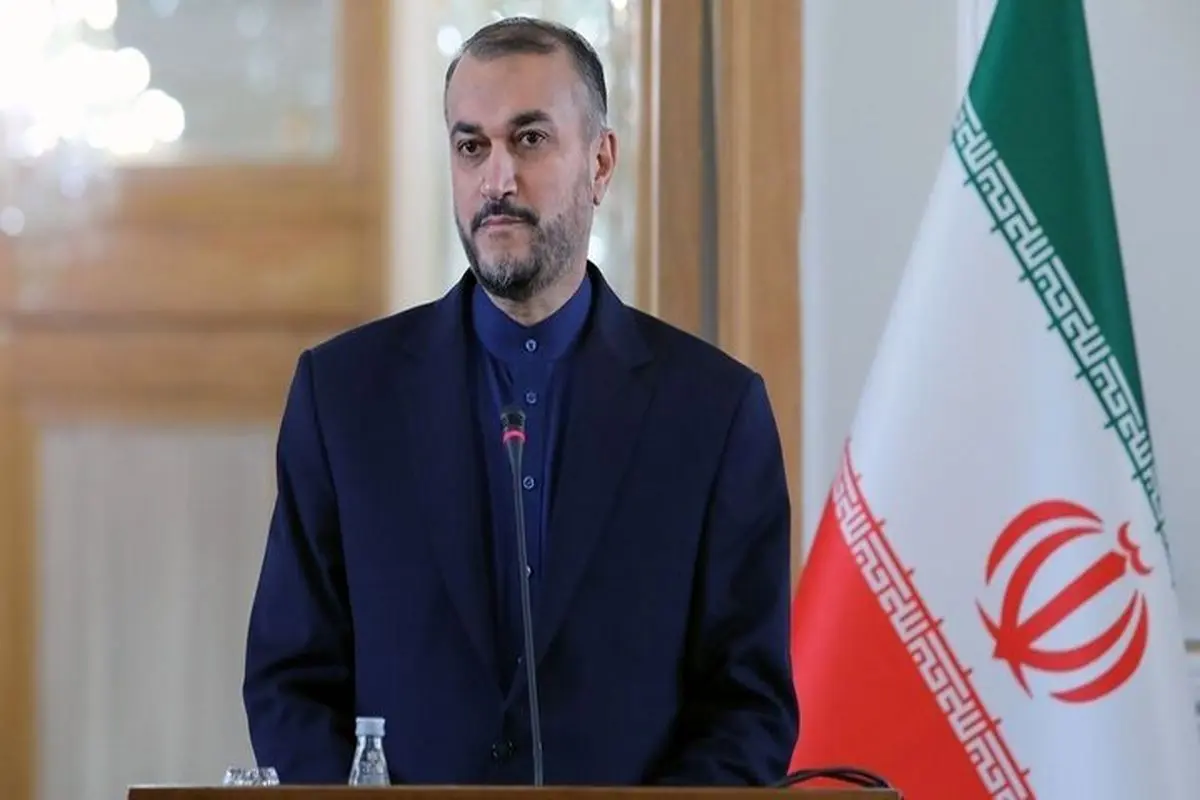 Iran to never cross red line in sanctions-removal efforts: FM