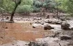 سیلاب ناگهانی در ایالت آریزونا با یک کشته و ۱۵ نفر مفقود + ویدیو