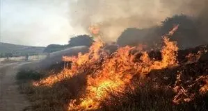 عملیات هوایی مهار آتش در تالاب هورالعظیم آغاز شد