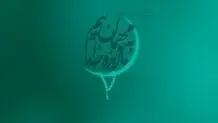 حقوق شهروندی در ماه رمضان
