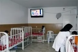 توضیح بهزیستی تهران درباره تعطیلی دو مرکز ویژه معلولان

