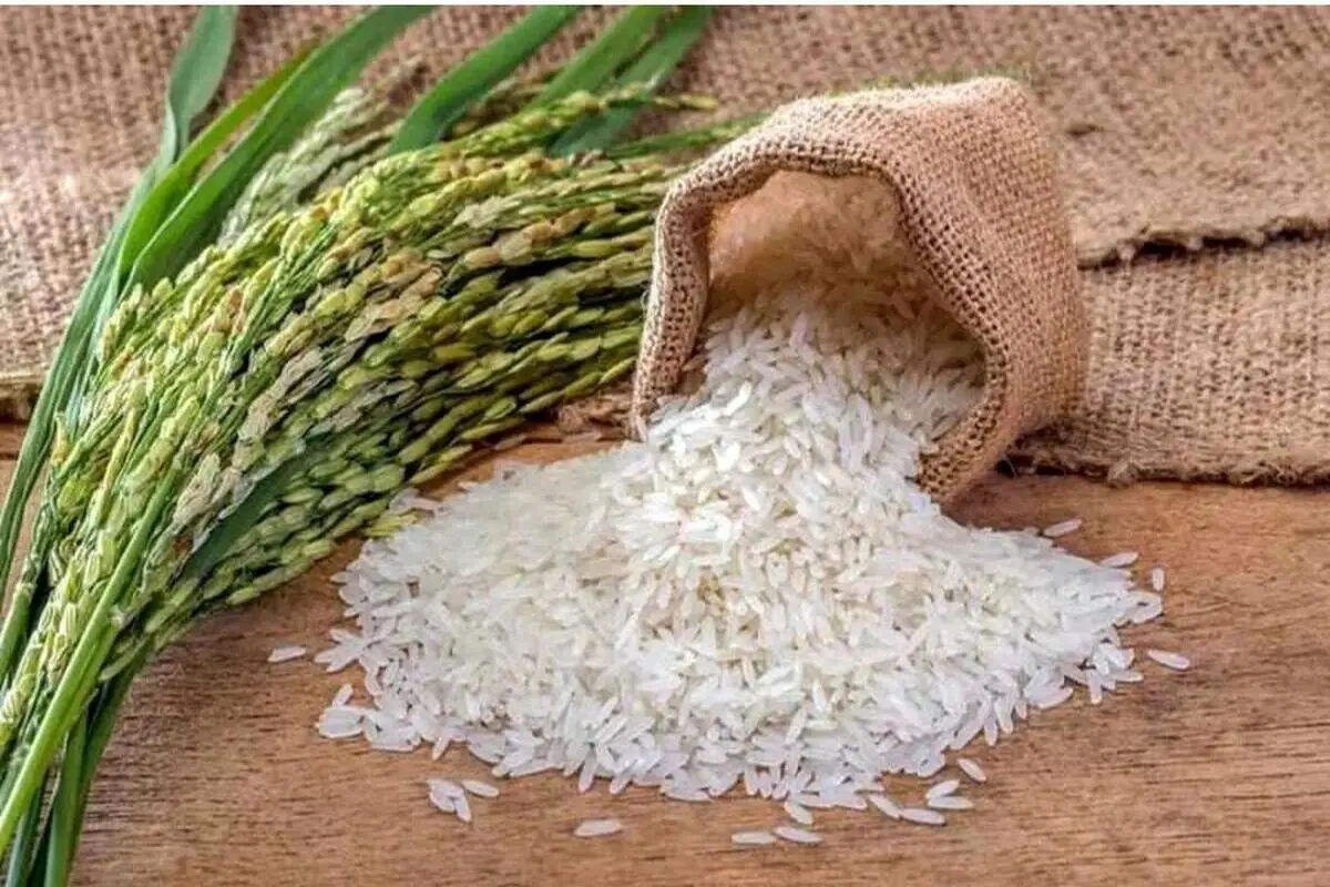 قیمت برنج پاکستانی امروز ۲۹ اردیبهشت ۱۴۰۴