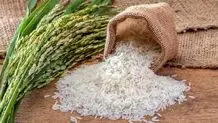 وزیر کشاورزی ژاپن درگیر حاشیه برنج؛ عذرخواهی رسمی پس از جنجال