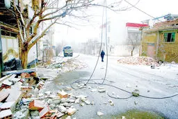 گرد برف و درد در گوش گربه ایران