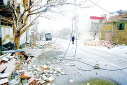 گرد برف و درد در گوش گربه ایران