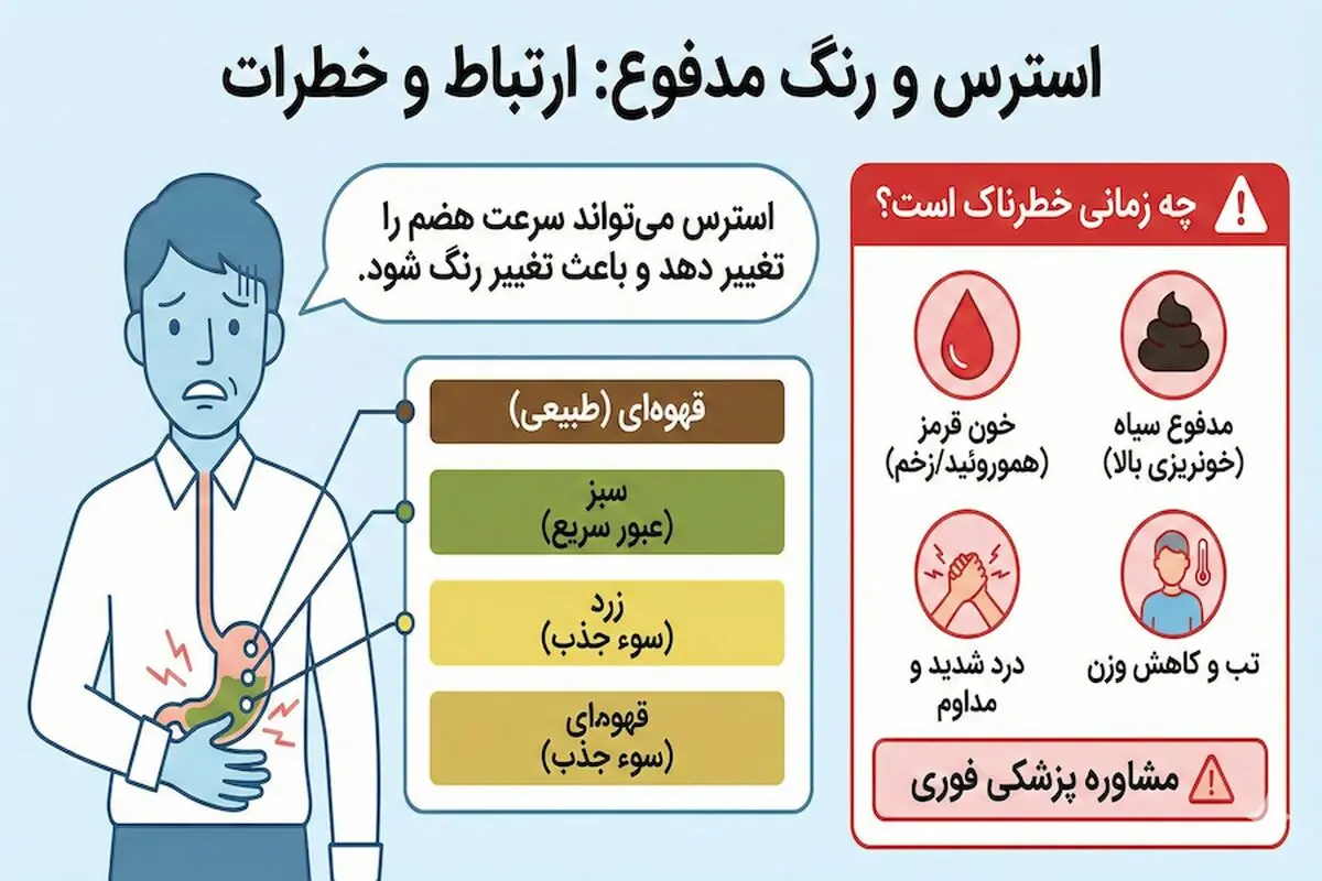 استرس و رنگ مدفوع چه ارتباطی دارند و چه زمانی خطرناک می‌شوند؟