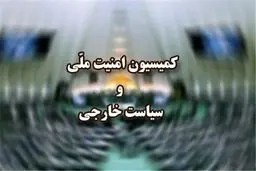 تعلیق همکاری ایران با آژانس اتمی در دستور کار مجلس قرار گرفت + جزئیات
