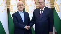دیدار وزیر کشور با رئیس جمهور تاجیکستان
