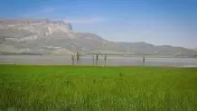 تالاب مینیاتوری در شمال ایران ایجاد می شود