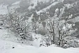 هشدار هواشناسی خراسان جنوبی؛ برف و یخبندان در راه است
