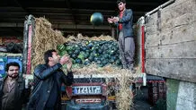 بازگرداندن ۸۰۰ هزار نفر از اتباع خارجی