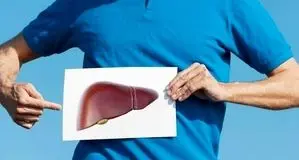 یک گیاه ترش مزه برای سم‌زدایی و تقویت کبد