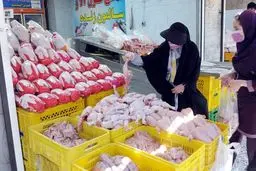 نماینده مجلس: دولتمردان درباره بازار مرغ آمار غلط می‌دهند/ در حال واردات مرغ از ترکیه هستیم

