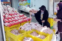 نماینده مجلس: دولتمردان درباره بازار مرغ آمار غلط می‌دهند/ در حال واردات مرغ از ترکیه هستیم

