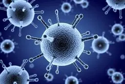 موج آنفلوآنزا در راه است؟