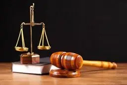 ۴۳ اخلالگر ارزی در البرز محکوم شدند

