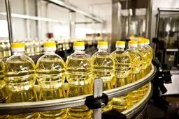 افزایش قیمت روغن در راه است؟