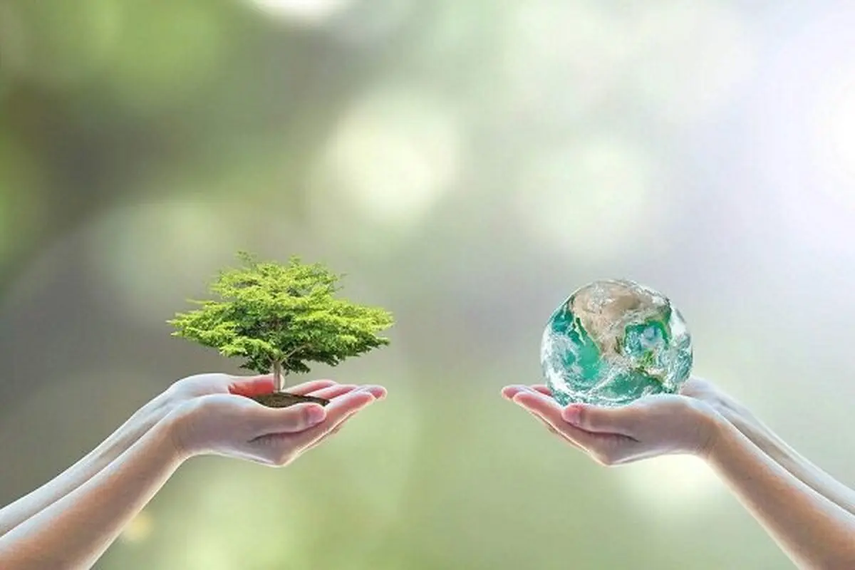 ‌محیط زیست و نبود ضمانت اجرائی مناسب

