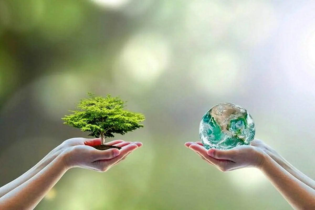 ‌محیط زیست و نبود ضمانت اجرائی مناسب

